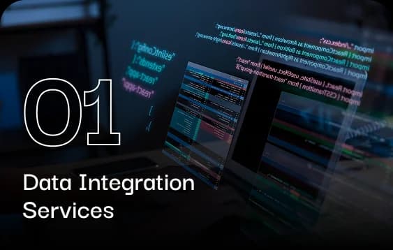 Data Integration Services
