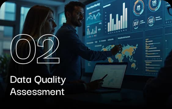 Data Quality Assessment