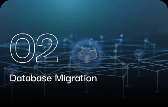 Database Migration